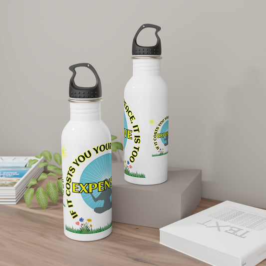 If it Costs You Stainless Steel Water Bottle